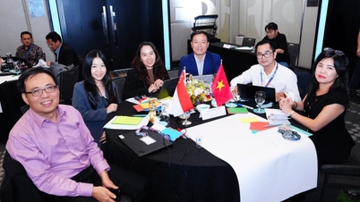La ASEAN promueve el desarrollo de mercados digitales transparentes y sostenibles.