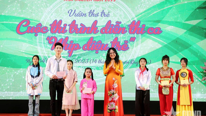Thai Nguyen streeft ernaar een duidelijke en alomvattende transformatie teweeg te brengen op het gebied van literatuur en kunst.