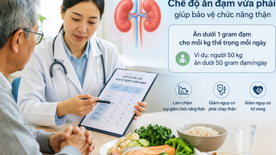 Pesquisa descobre fórmula alimentar "milagrosa" que "salva" pessoas com insuficiência renal.
