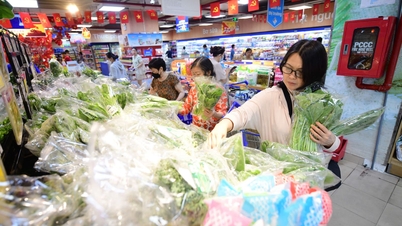 La ciudad de Ho Chi Minh está elaborando planes de respuesta para mantener la estabilidad del mercado hasta finales de año.