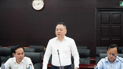 Majelis Nasional bekerja sama dengan Da Nang untuk menghilangkan hambatan kelembagaan.