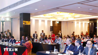 Il Segretario Generale e il Presidente hanno partecipato al forum economico Vietnam-Sri Lanka.