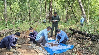 L'équipe K52 récupère deux autres dépouilles de soldats tombés au Cambodge.