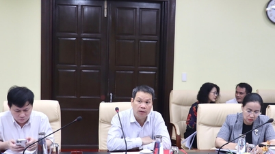 ការបញ្ចប់ជាបន្ទាន់នៃការរៀបចំសម្រាប់មហោស្រពភាពយន្តអាស៊ីដាណាំងលើកទី ៤។