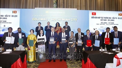Il Segretario Generale e Presidente To Lam partecipa al Forum Vietnam-Sri Lanka sulla cooperazione in materia di commercio, investimenti e turismo.