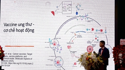 Improving the effectiveness of cancer diagnosis and treatment in Hai Phong.