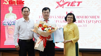 Fortalecer el equipo directivo de la revista en línea Dong Hanh Viet.