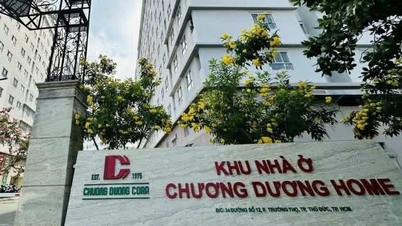 Locuitorii apartamentelor din orașul Ho Chi Minh sunt îngrijorați după ce hoții au tăiat toate cablurile de cupru de protecție împotriva trăsnetului.