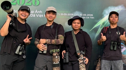 Mais de 100 atletas participaram da maior competição de fotografia de vida selvagem do Vietnã.