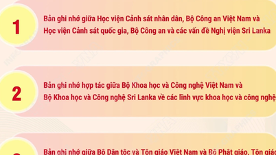 Samenwerkingsdocumenten tussen Vietnam en Sri Lanka