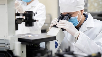Mức trích lập quỹ đào tạo nhân lực doanh nghiệp nhà nước dự kiến không quá 1% lợi nhuận