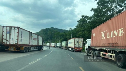 Sytuacja importu i eksportu towarów na przejściach granicznych w prowincji Lang Son w dniu 8 maja 2026 r.