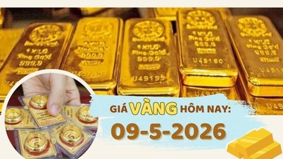 قیمت طلا امروز، 9 مه: افزایش شدید در همه زمینه‌ها.