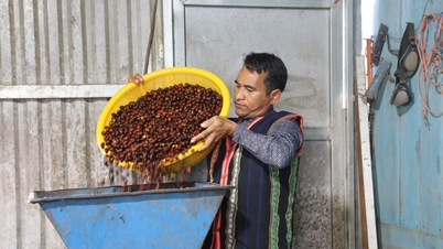 Nông dân Lâm Đồng chuyển mình với nông nghiệp hiện đại