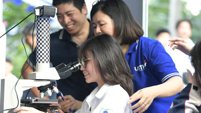 Hệ lụy 'đếm' bài báo khoa học