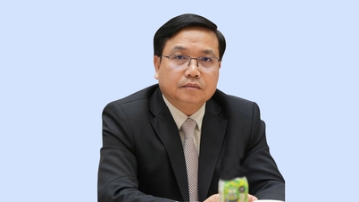 Il direttore del dipartimento finanziario Nguyen Dinh Hieu ha proposto di istituire un team di consulenza per gli investitori giapponesi.