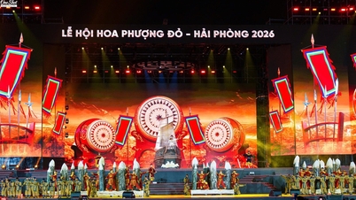 The Red Flamboyant Flower Festival exploded in popularity, attracting 10,000 spectators.
