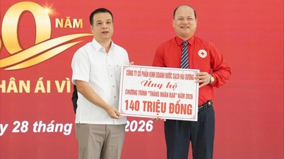 Poduri de compasiune se extind în timpul Lunii Umanitare din Hai Phong.