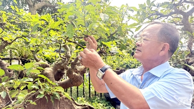 যখন বার্ধক্য নতুন মূল্যবোধের সূচনা