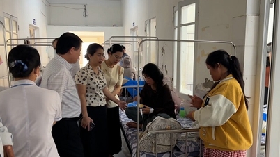 In Quang Tri zijn meer dan 60 mensen in het ziekenhuis opgenomen: Salmonella en Bacillus cereus aangetroffen in testmonsters.