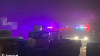 Les autorités ont maîtrisé l'incendie qui s'était déclaré dans l'entrepôt de matières premières du parc industriel Nhon Trach 5.