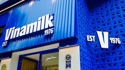Vinamilk informuje o wzroście przychodów o 24,6% w pierwszym kwartale 2026 r. w porównaniu z analogicznym okresem ubiegłego roku.