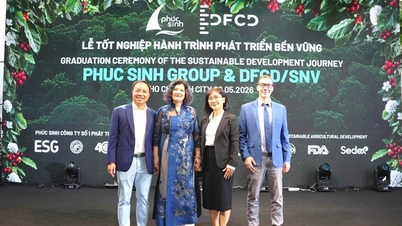 В сотрудничестве с DFCD и SNV Фук Син завершил проект устойчивого развития.