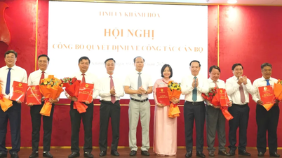 Khanh Hoa: Birçok departman, kurum ve yerel yönetim lideri görevden alındı ​​ve yeni atamalar yapıldı.