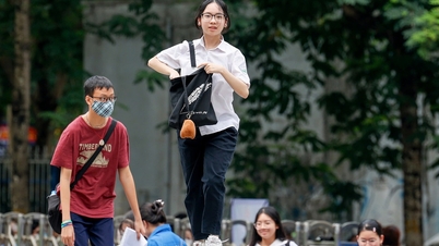 하노이 학생 946명이 공립학교 10학년에 직접 입학했습니다.