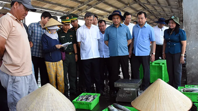 A delegation from the Ministry of Agriculture and Environment surveyed Tran De Fishing Port.