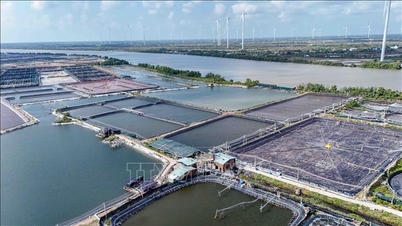 Les entreprises crevettières demandent un assouplissement des restrictions d'utilisation des terres afin de faciliter les investissements dans la production à grande échelle.