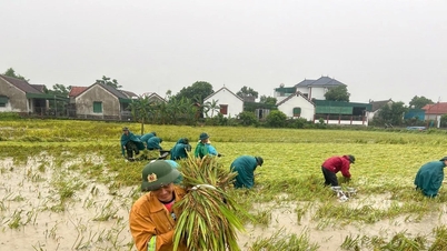 Nghe An : La mise en relation des marchés aide les populations à sauver leurs produits agricoles inondés.