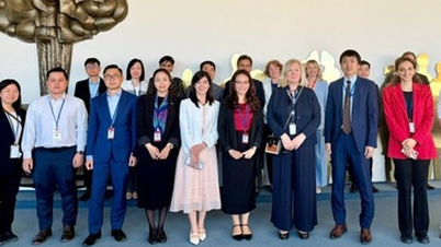 IAEA اور ویتنام جوہری توانائی کے بنیادی ڈھانچے کی ترقی کے لیے ایک مربوط منصوبہ تیار کر رہے ہیں۔