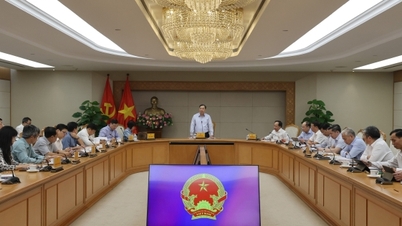 The petition regarding the Thach Khe iron mine project in Ha Tinh province will be resolved definitively by May 2026.