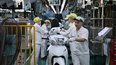 La política de industrialización y el papel de los flujos de inversión extranjera directa.
