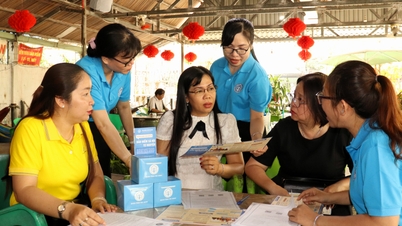 Phát động và ra quân thực hiện Tháng vận động, triển khai bảo hiểm xã hội toàn dân năm 2026