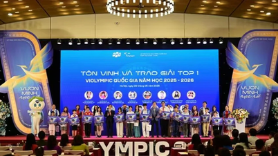 Lao Cai میں قومی سطح کے وائلمپکس مقابلے میں حصہ لینے والے بہت سے امیدوار ہیں۔