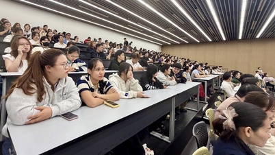 Empresas nórdicas debaten sobre las habilidades más importantes para los estudiantes vietnamitas.