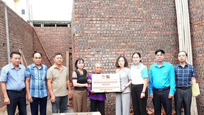 គណៈកម្មាធិការរណសិរ្សមាតុភូមិឃុំដានភឿងបានផ្តល់ជំនួយសម្រាប់ការសាងសង់ និងជួសជុលផ្ទះសម្រាប់គ្រួសារពីរដែលមានស្ថានភាពលំបាក។