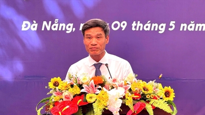 Plus de 2 300 candidats ont participé au test d'aptitude pour l'admission à l'Université des sports et de l'éducation physique de Da Nang.