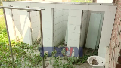 Quảng Trị: Dự án bãi tắm hàng chục tỷ đồng 'đắp chiếu,' cỏ dại mọc tràn lan
