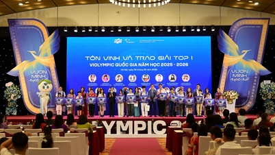 Violympic 2025-2026: Celebrando a jornada de conquista do conhecimento