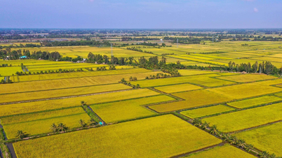 De Vietnamese landbouw bevindt zich op een nieuw kruispunt.