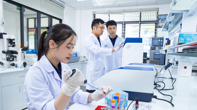 Hệ lụy “đếm” bài báo khoa học, Bài 2: Nuôi dưỡng văn hóa liêm chính khoa học