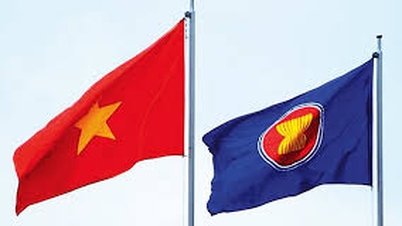 Podpora hospodářské a obchodní spolupráce mezi Vietnamem a ASEAN.
