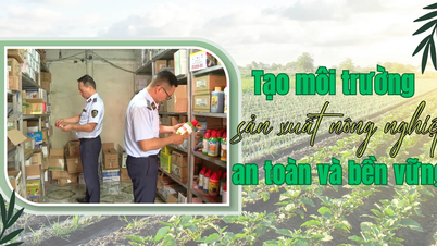 Tạo môi trường sản xuất nông nghiệp an toàn và bền vững