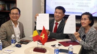 La Belgique continue d'apporter son soutien au Vietnam dans la formation de spécialistes de l'accompagnement psychomoteur.