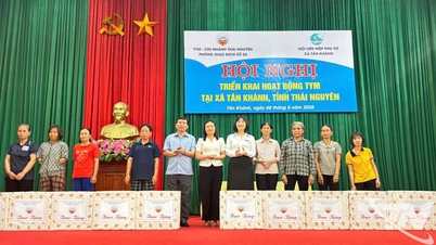 TYM - សាខាថៃង្វៀន ចាប់ផ្តើមប្រតិបត្តិការនៅឃុំតឹនខាញ។