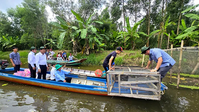 Recreating the "spirit of the countryside" at the U Minh Forest Scent event.