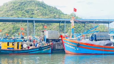 Die bestehenden Mängel und Einschränkungen bei der Bekämpfung der illegalen, ungemeldeten und unregulierten Fischerei (IUU-Fischerei) müssen gründlich behoben werden.